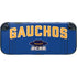 University of California-Santa Barbara Gauchos Nintendo Switch 2 (2025) with Joy-Con Skin